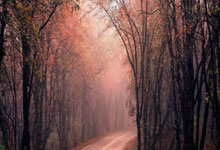 即将对阵拜仁！奥格斯堡近11场德甲比赛保持不败&仅丢3球.