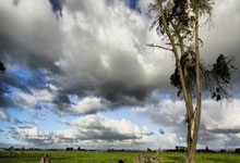 多3场！西蒙斯2年打61场，恩比德58场，有点意思啊.