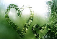 海星体育：雷霆队亚历山大的父亲表示，称亚历山大为“犯规贩子”是愚蠢的.