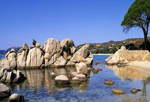 [CBA]规赛3月12日：北京VS青岛 杰曼集锦.